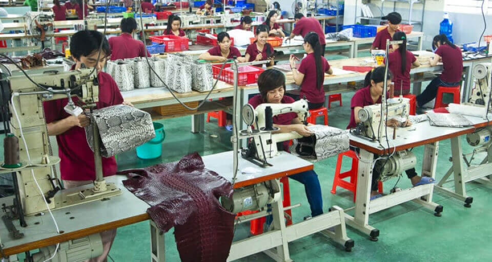 Viet Thanh Crocodile, Vietthanh crocodile, Viet Thanh Crocodile company