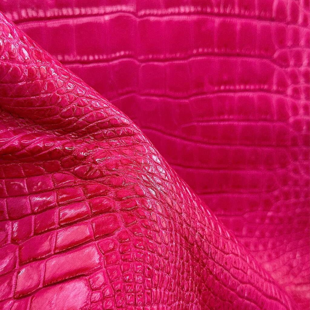 Viet Thanh Crocodile, Vietthanh crocodile, Viet Thanh Crocodile company